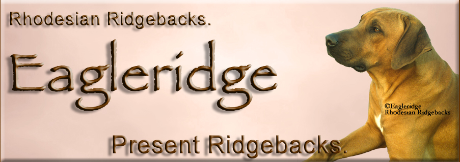 Eagleridge Ridgeback Kennels