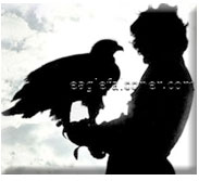 Eagle Falconer website