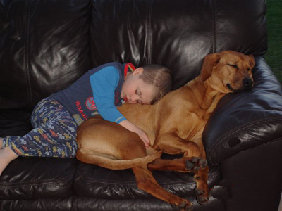 rhodesian ridgeback with kids