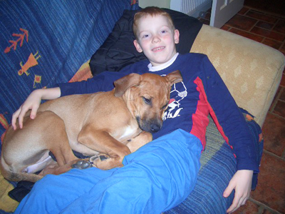 rhodesian ridgeback with kids