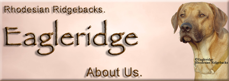 Eagleridge Kennels of Rhodesian Ridgebacks