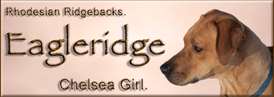 Eagleridge Chelsea Girl