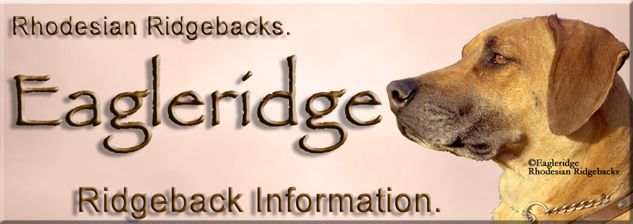 Rhodesian Ridgeback Information