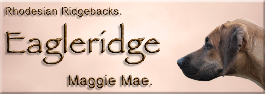 Eagleridge Rhodesian Ridgeback Maggie Mae