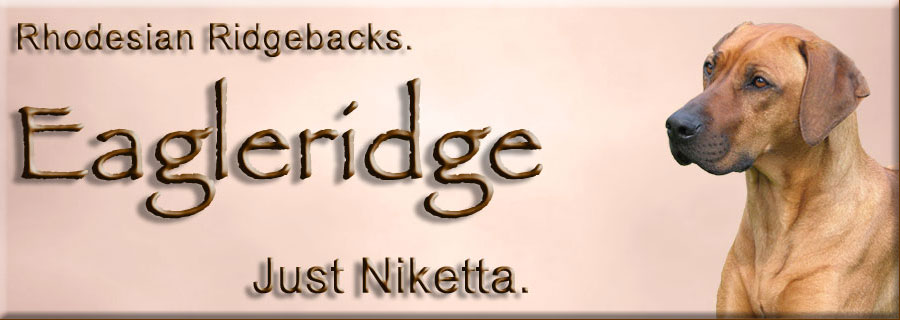 Eagleridge Nikitta bitch ridgeback